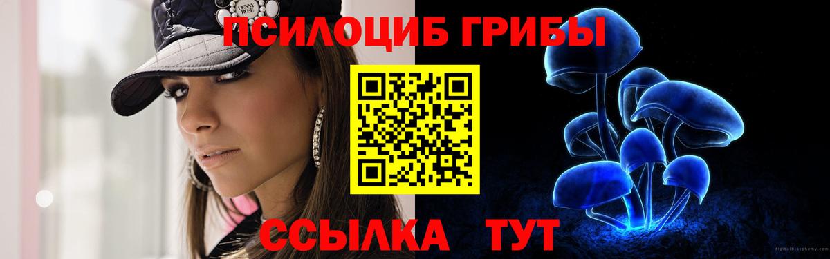 Псилоцибиновые грибы Psilocybe  Вход с VPN  Чусовой 